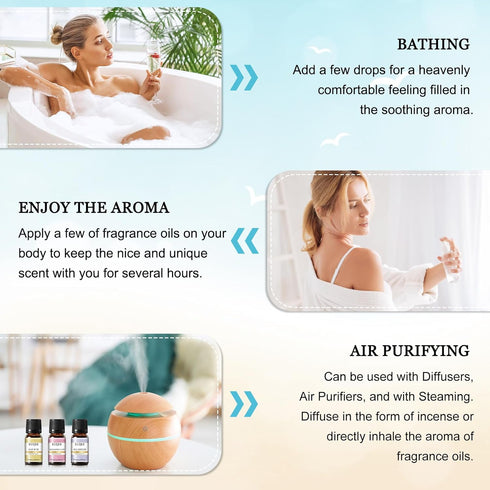 Holiday Island Fragrance Oil Gift Set of 6, Summer Essential Oils for Humidifier, Aromatherapy - 10ml