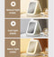 LED Three-Color Adjustable Makeup Mirror, Portable Rechargeable Organizer with Lights, Waterproof Jewelry Box