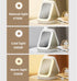 LED Three-Color Adjustable Makeup Mirror, Portable Rechargeable Organizer with Lights, Waterproof Jewelry Box