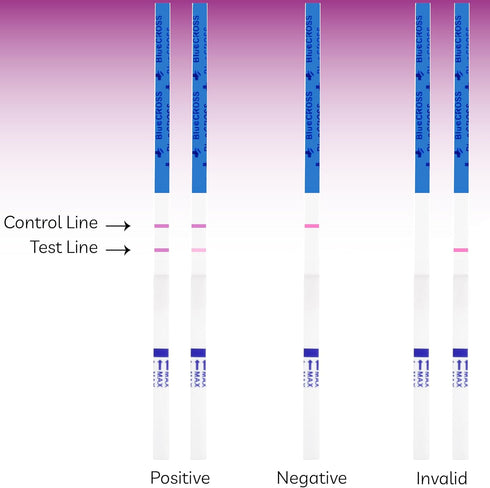 10 x Early Pregnancy Test Strips, Super Sensitivity 10 MIU/mL