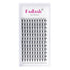 Volume Lash Extensions D Curl 12D Premade Fans 0.07 Mixed Tray Eyelashes Extension Individual Lashes (12D-0.07-D,