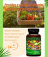 Balance Nature Fruit Vegetable Capsule, Daily Supplements from 36 Fruits and Veggies, 60-Day Supply