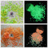 PrettyG 6 Boxes Luminous Nail Art Glitter Set, Glow in The Dark 3D Stickers for DIY Nail Craft Accessories