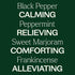 Set 10 mL (1/3 oz) Plant Therapy Pain Support Essential Oil Blend Each of Ache Away, Rapid Relief & Tension Relief