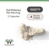 Ginseng Capsules (Korean Red Ginseng Extract, Panax Ginseng 10% Ginsenosides) (4 Month Supply) 240 Vegan Capsules