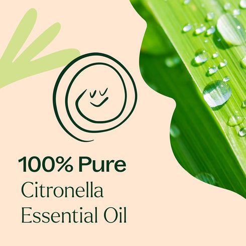 Plant Therapy Citronella Essential Oil, 100 mL (3.3 oz), 100% Pure