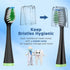 Replacement Toothbrush Heads for Waterpik Complete Care 5.0/9.0 (CC-01/WP-862), 4 Count, Black with Covers