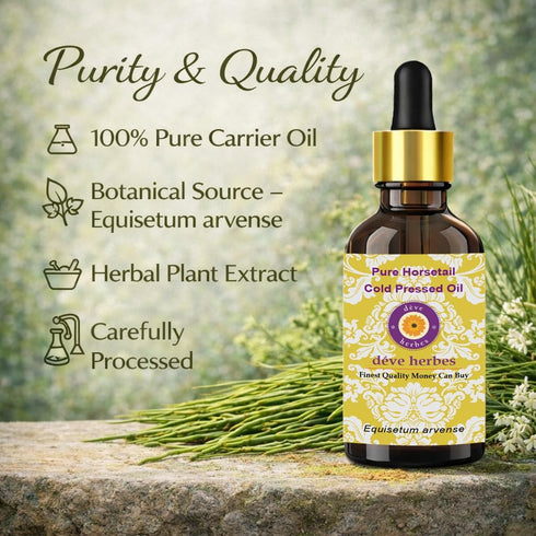 Horsetail (Equisetum 200ml (6.76 oz) Deve Herbes Oil arvense) | Cold Pressed | Pure | Natural | for Diluting Essential