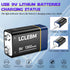 LCLEBM 9V -4 Packs Battery