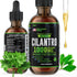 HERBIFY Cilantro Tincture, Herbal Supplement for Detox, Antioxidants, Heart and Body Cleanse, 4 Fl Oz