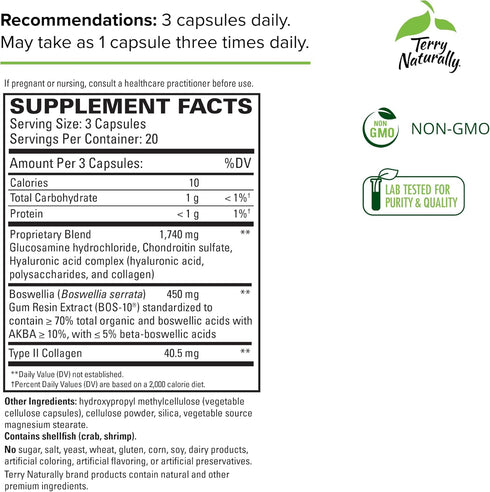 Terry Naturally Be Mobile - Joint Support Supplement with Type II Collagen, Glucosamine & More - 60 Capsules