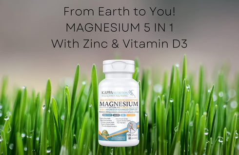 Kappa Nutrition Magnesium Glycinate, Bisglycinate, Malate, Zinc, Vitamin D3, 120 Capsules, 280mg Elemental