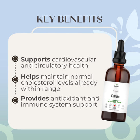 Herbity Immune 3.4 oz (100 mL) Garlic Tincture Alcohol-Free Herbal Supplement for Heart, Circulation & Support Vegan