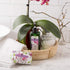 No. 3 Italian Soap Bar (200 g) - Pepe Rose, Lavender & Vanilla Bean