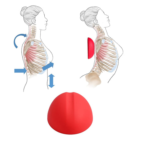 LittleMum Thoracic Flex Stretcher, Pectoral Stretch Device, Self-Care Tool for Costochondritis and TOS Pain, Help Fix