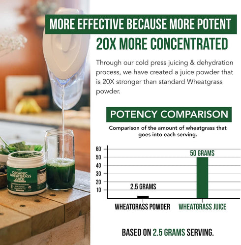 Organic Wheatgrass Juice Powder - Raw BioActive Form, Cold-Pressed, 20:1 Concentrate Juice Extract, Unflavored (5.3 oz)
