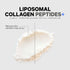 Codeage Liposomal Collagen Peptides Powder + Vitamin C & Quercetin Phytosome, Grass-Fed Hydrolyzed Collagen Type I &