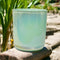 LNB Candles Premium Lemongrass Soy Wax Candle Clean Ingredients Made in USA Product Long
