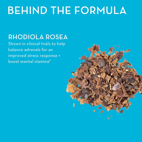 HUM Big Chill Calming Supplement with Rhodiola Rosea for Stress & Mood Support (30-Count) - Balances Adrenal Health