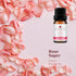 LOXIM Discovery Collection Essential Oil Set of 3, Fragrance Oils for Aromatherapy Diffuser, 100% Pure Natural