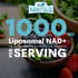Liposomal NAD+ Supplement 1000 mg | Highest NAD Potency | Max Absorption Pure NAD Supplement for Energy, DNA Repair,