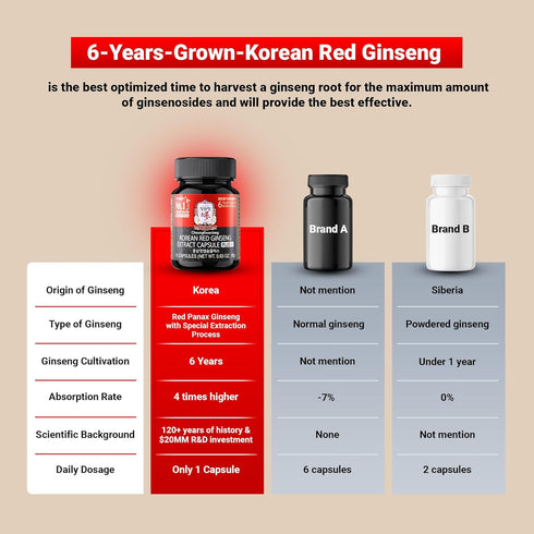 CheongKwanJang Korean Red Ginseng Extract Capsules Plus - All-in-1 Focus Pills for Men & Women, 30 Capsules, Natural