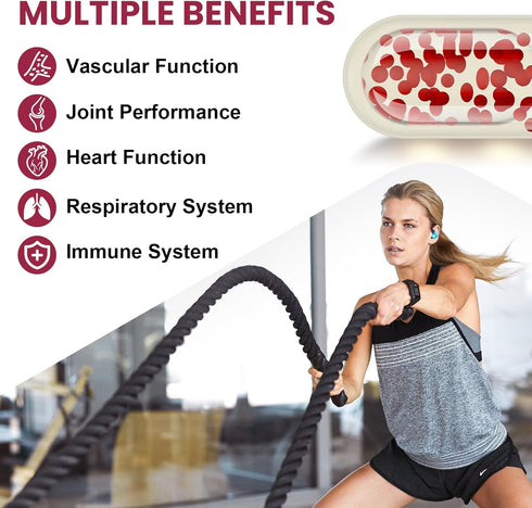 French Maritime Pine Bark Extract 200 mg, Premium Pycnogenol with PQQ for Vascular, Heart & Joint Function