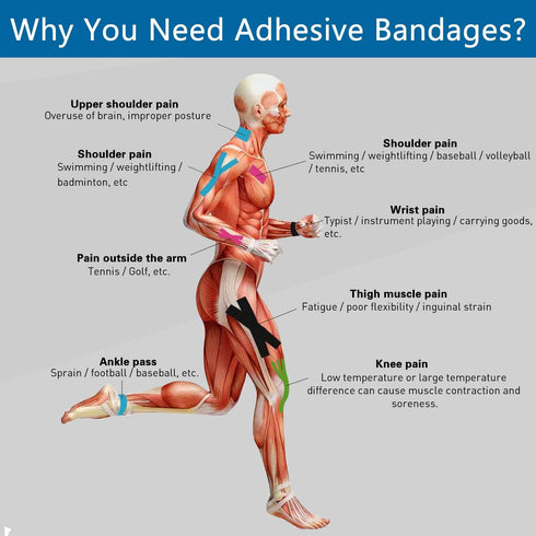Self Adherent Cohesive Bandages Wrap, 6 Count, 2" x 5 Yards, Medical Tape for People and Pets, First Aid