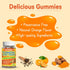 Turmeric Curcumin Gummies 500mg with Ginger Root, Black Pepper Extract, Antioxidant Support, 60 Count