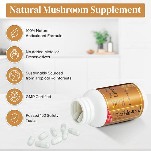 Immune 10 Vita Green Lingzhi Mushroom Supplement () Pure Reishi with Natural Antioxidants for Wellness, Energy