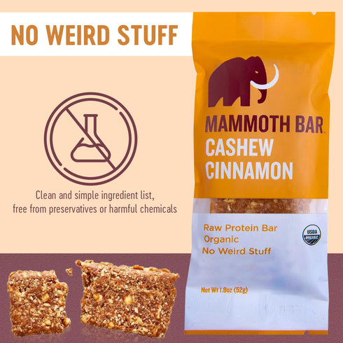 Mammoth 10-12g 1.8 Oz. (10 Cashew Cinnamon Bar- Organic, Paleo, Gluten Free and Raw by Bar, Protein, Bar Bars)