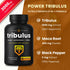 NutraChamps Tribulus Terrestris Supplement for Men, 2000mg Energy Booster, 90 Vegan Capsules, Extra Strength Saponins