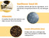 C'NEW LAB Real Propolis Moisture & Glow Boosting Cream, 1.69 fl.oz / 50ml, Hydrating Korean Skincare
