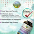 Terranics 5-in-1 Magnesium Complex Supplement 500mg, High Absorption Magnesium for Sleep, Muscle, Heart Health, 240