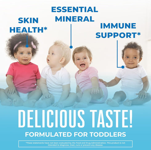 MaryRuth Organics Toddler Liquid Ionic Zinc Sulfate with Organic Glycerin for Immune Support | Vegan | Formulated for Ages 1-3 | 1 Month Supply | 2 Fl Oz