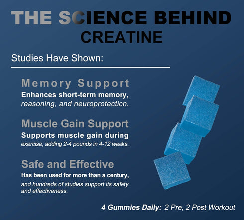 Creatine Monohydrate Gummies for Men & Women: Sugar Free & Vegan Formula with L-Taurine & Vitamin B12