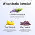 Sleep Essential Oil Blend for Diffuser - Dream Aromatherapy with Clary Sage, Ylang-Ylang, Chamomile, Lavender (1 Fl Oz)