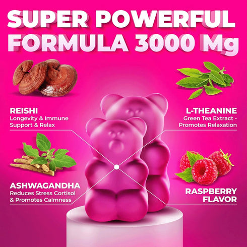 Gummies Immune Gummies Gummies Natural Reishi Mushroom & L Theanine with Ashwagandha - Potent Mushroom Supplements