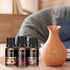 Set, 6x10mL, Christmas Essential Oils Gift for Home, for Diffuser, CAKKI Premium Grade Fragrance Oils with Christmas