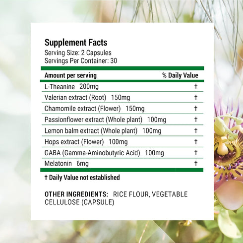 Luna Sleep Aid, Non-Habit Forming Natural Sleep Aid with Valerian Root, Melatonin, 60 Vegan Capsules