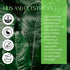 Mystic Romance Aroma Oil Blend 120ml, Punta Cana, Plastic Purple Bottle, City Collection, Waterless Diffuser Oil, Made