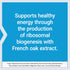 Life Extension Energy Renew, French Oak Extract, Non-GMO, Gluten-Free, Vegetarian, 30 Capsules