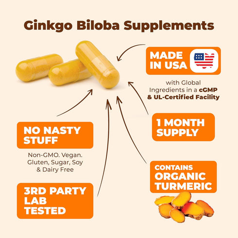 Turmeric Curcumin & Ginkgo Biloba Supplements with Bioperine Black Pepper, Vegan Joint Support Supplement, 2 Pack
