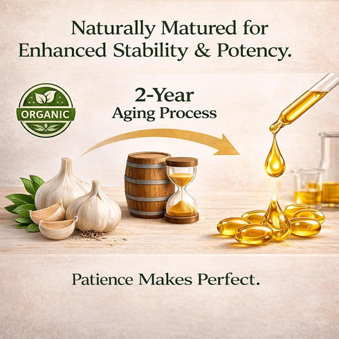 TRUE NATURALS 300 2-Year Immune (1) Aged Garlic Extract - Softgels, Odorless, Organic Garlic Supplement, Matured