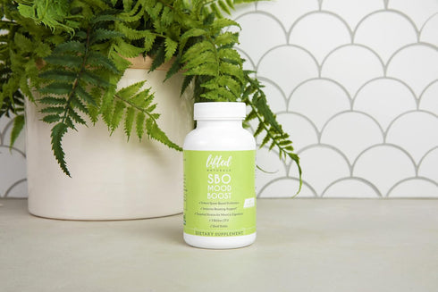 Lifted Naturals SBO Mood Boost Probiotic - 60 Day Supply, Spore/Soil-Based, Natural Mood Support, Non-GMO, Vegan,