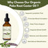 Yakucho 2 Oz (60ML) Poke Root Castor Oil Organic - Fl - Lymphatic Support Massage Liquid, Natural Deep Tissue Relief