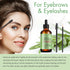 ZIXBMHYJ (2 Pack), Rosemary Essential Oil Rosemary Oil for Hair Growth & Skin Care, Face, Dry Scalp Treatment, Hair