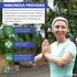 America Medic & Science Immunexa | 7 in 1 Immune Support Booster (60 Capsules) | Vitamin A, C, D, Zinc, Echinacea,