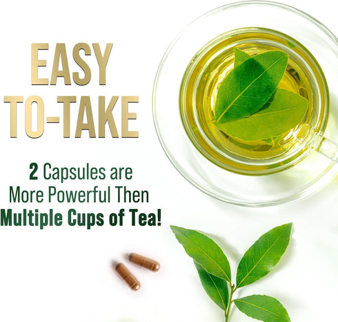 Green Tea Extract Capsules 1000mg 98% Standardized EGCG - 60 Capsules for Natural Energy & Heart Support