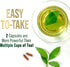 Green Tea Extract Capsules 1000mg 98% Standardized EGCG - 3X Strength for Natural Energy - 240 Capsules